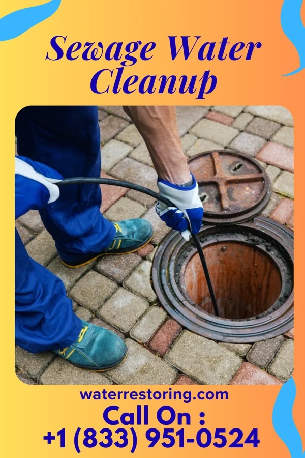 Sewage Water Cleanup in Page Park, FL